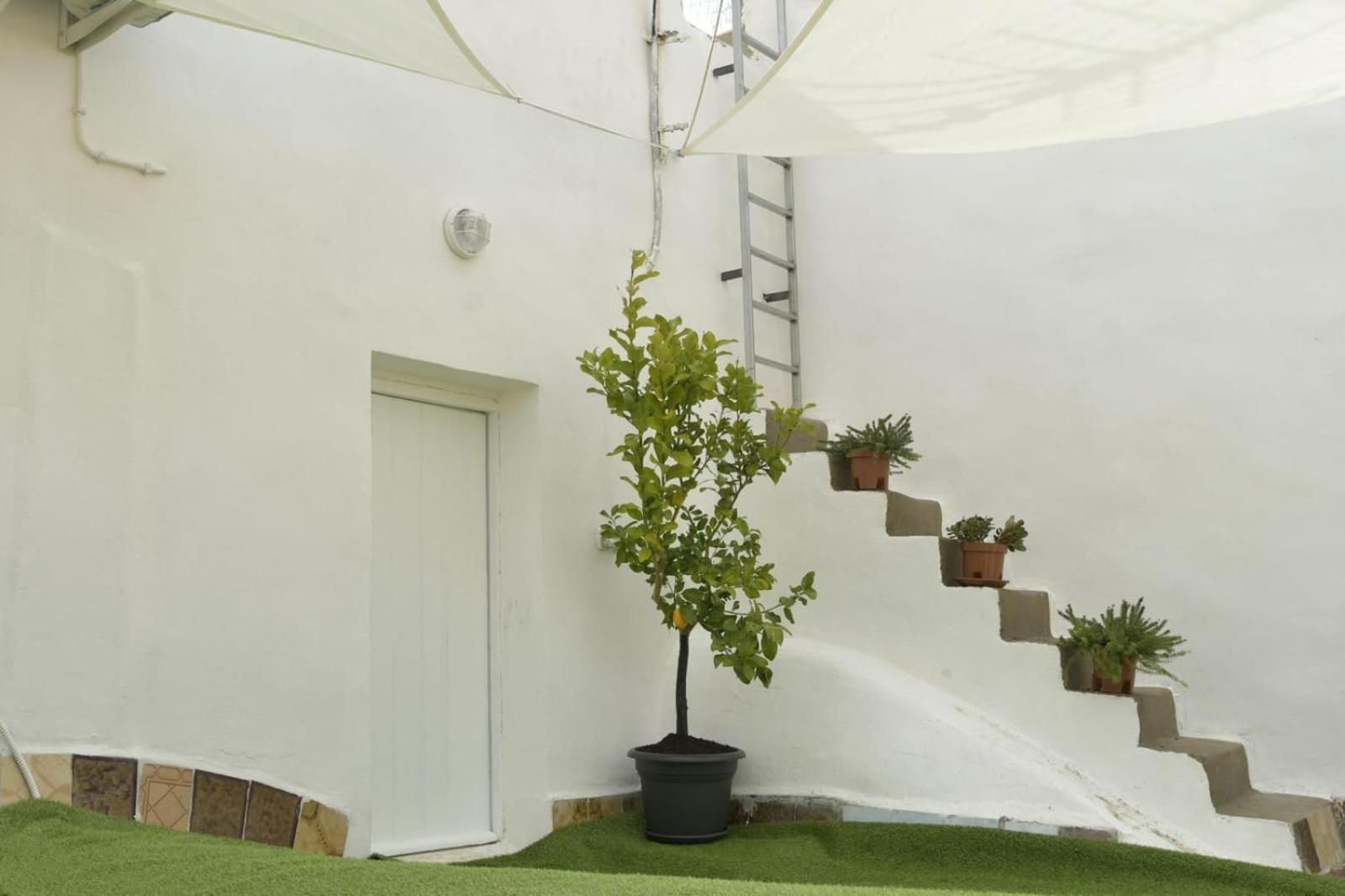 Madre Terra Airport Rooms And Suites Terrasini Bagian luar foto